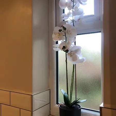 Villa Olli's Cottage-terrace&jacuzzi Bristol