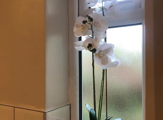 Villa Olli's Cottage-terrace & Jacuzzi Optional Bristol